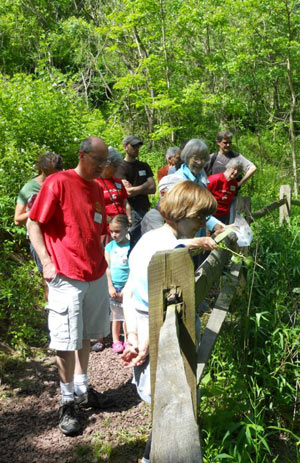 Nature walk