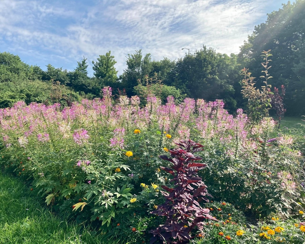 Churchill Community Garden